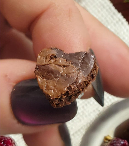 Heart brownie bite stud earrings