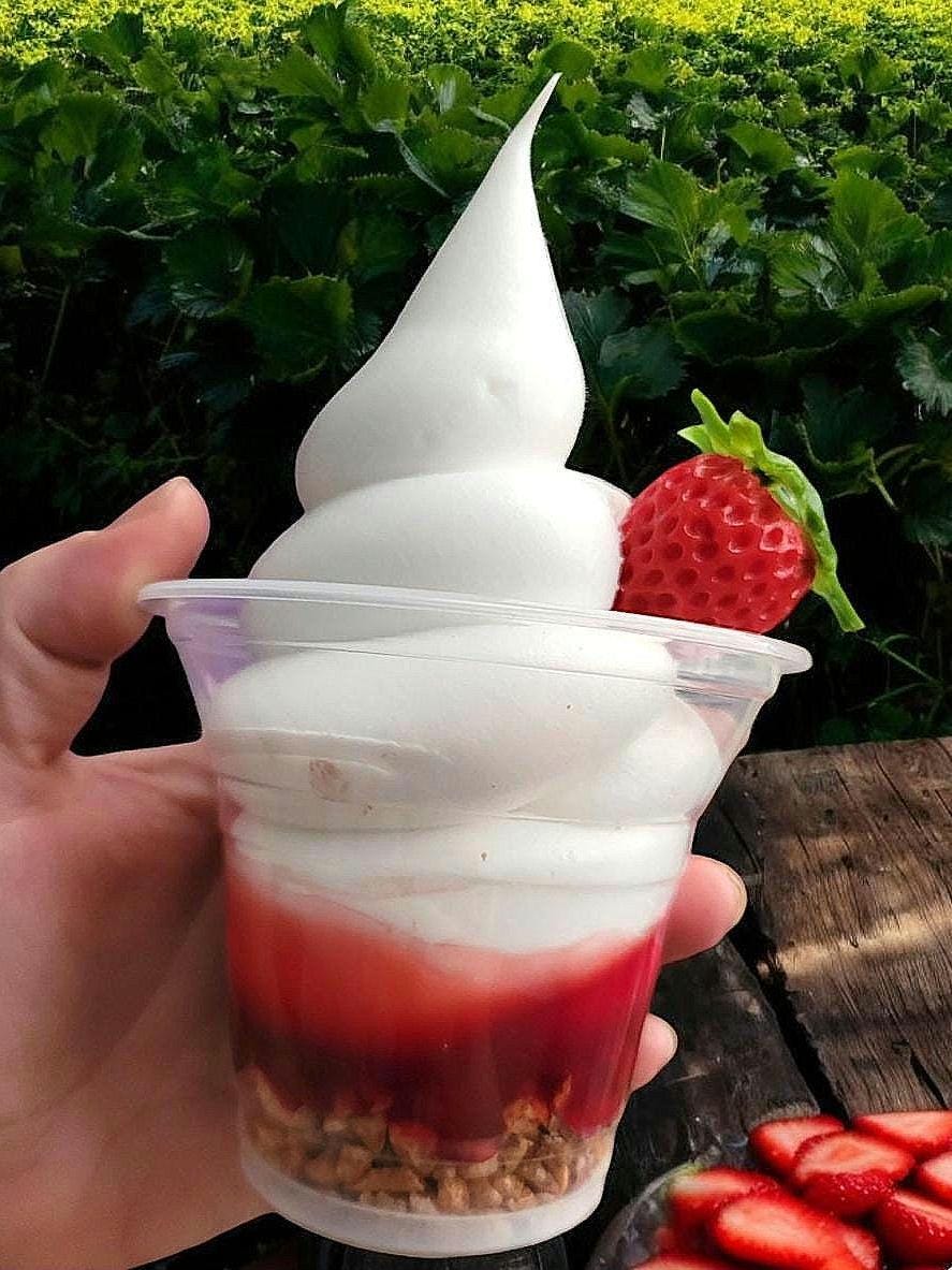 Zero calorie faux deluxe Strawberry sundae!
