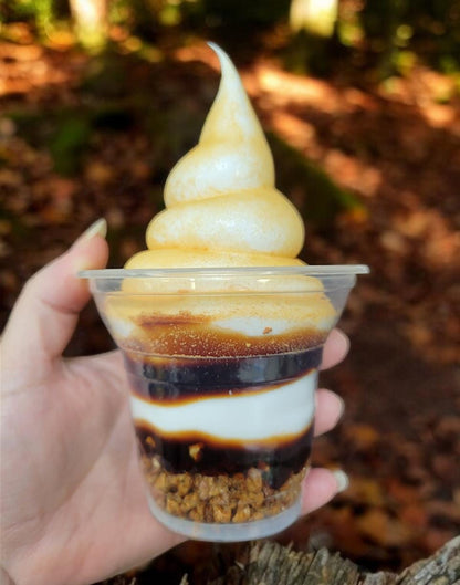 Zero calorie faux deluxe S'mores sundae!