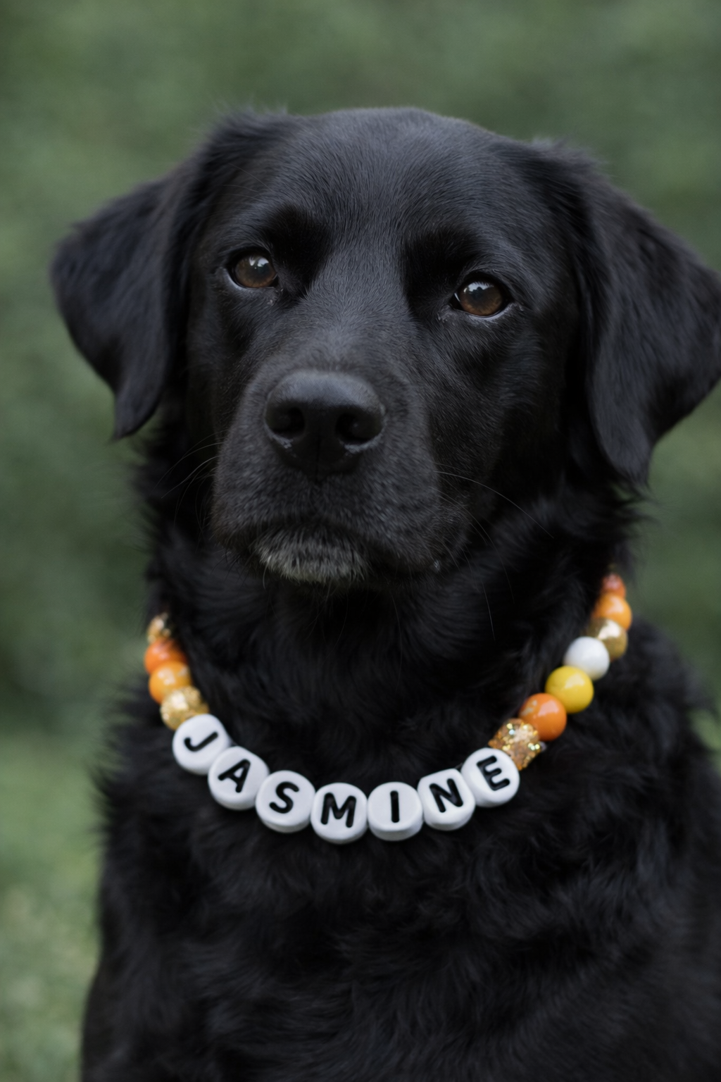 3d printed / color beaded friendship bracelet dog collar