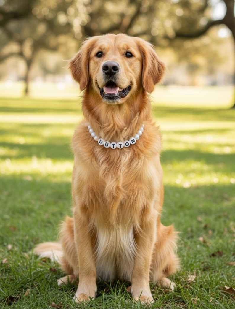 3d printed / color beaded friendship bracelet dog collar